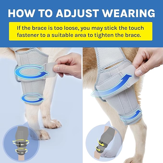 Dog Knee Brace for Torn ACL, Rear Leg Support for Joint Pain Relief and Ligament Injuries, Silver, XL